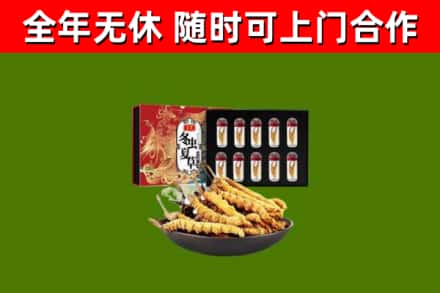 桂东烟酒回收冬虫夏草礼盒.jpg