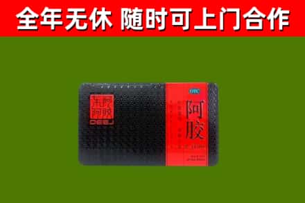 桂东回收阿胶