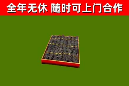 桂东回收海参